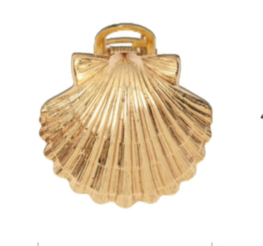 The Seashell Snatch