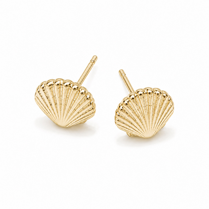 The Seashell Switch
